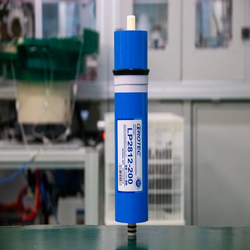 2812 RO membrane replacement
